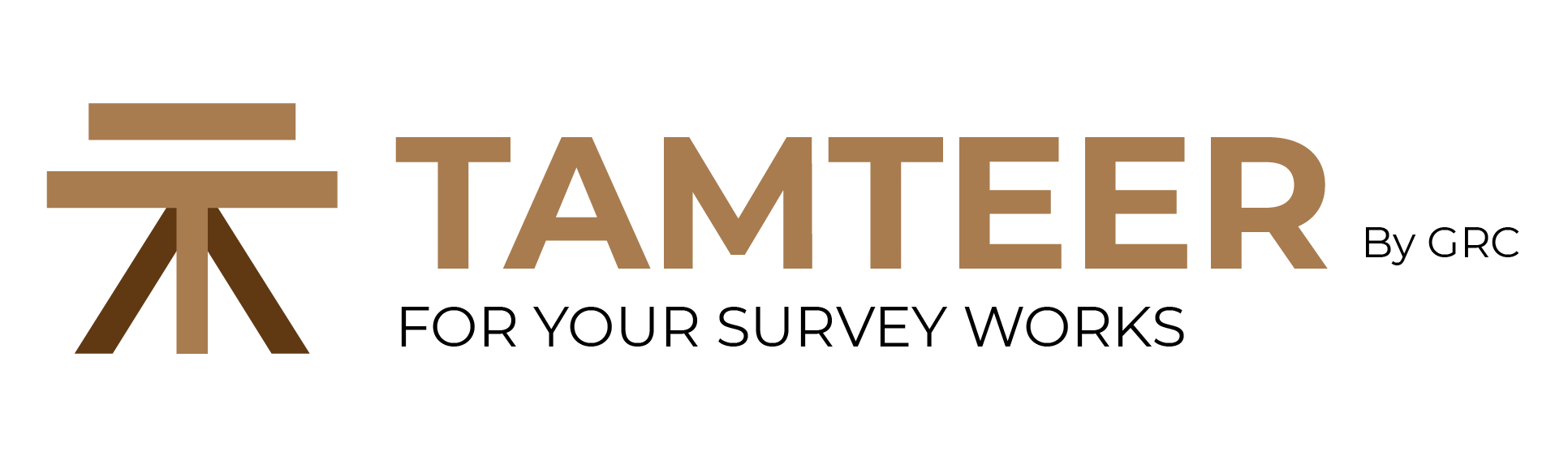 Surveying professionals at work